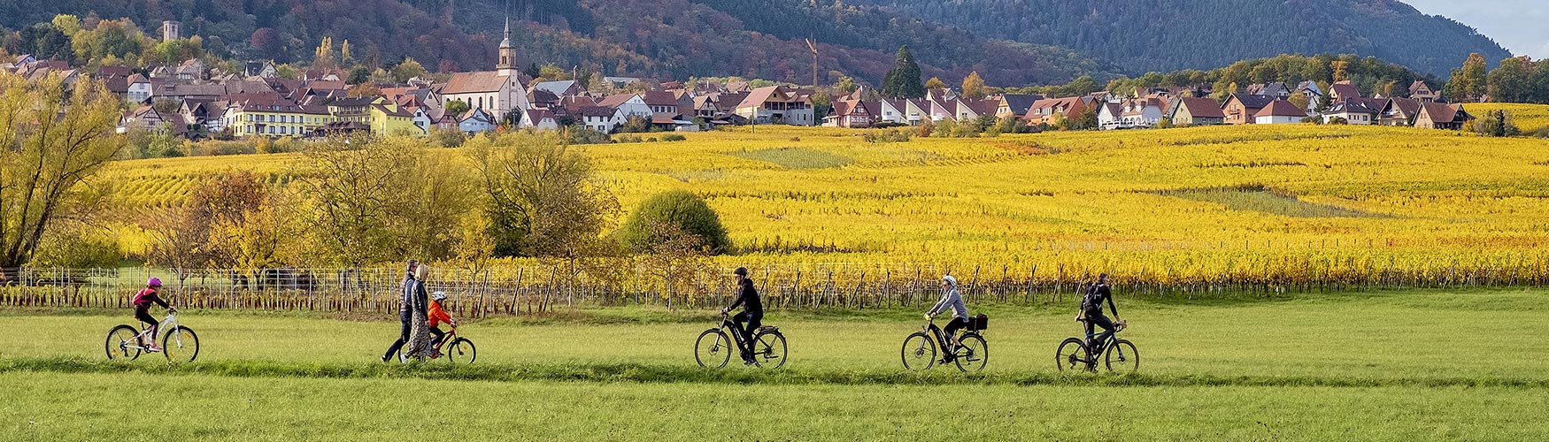 Alsace