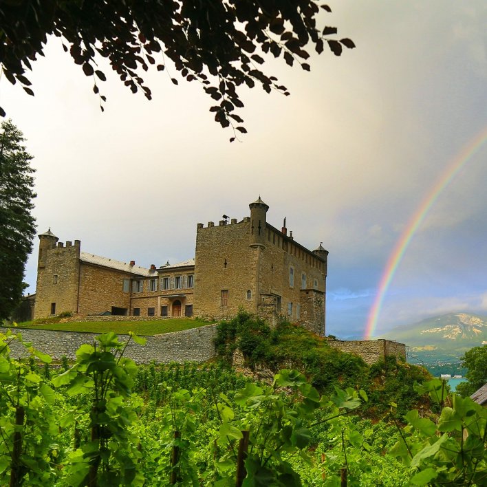 vue d'un château depuis des vignes avec un arc en ciel