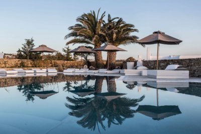 Piscine et palmiers