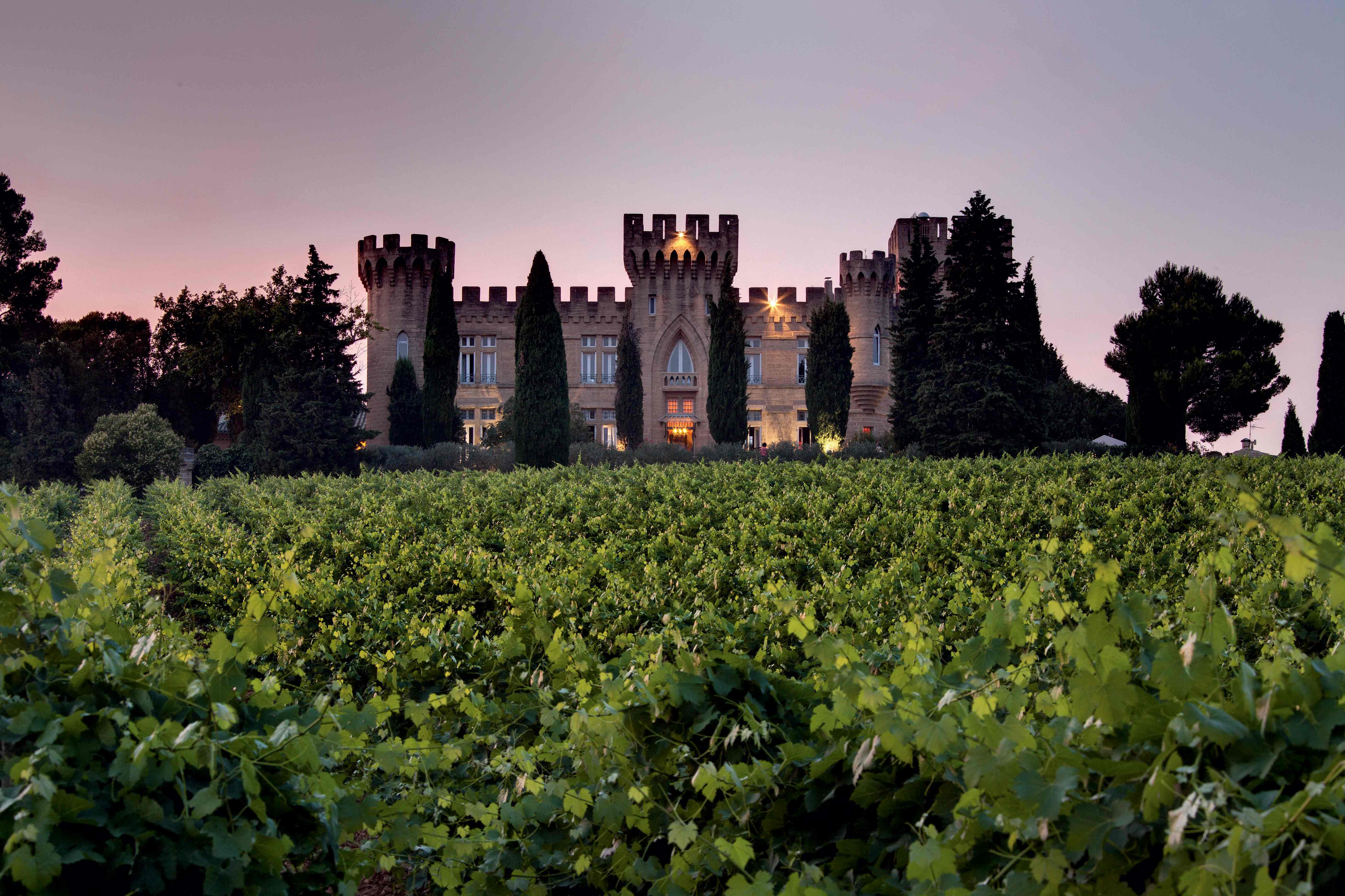 Château et vignes