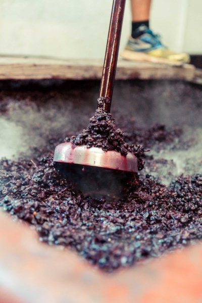 Pigeou, l'outil nécessaire au pigeage, étape de la vinification