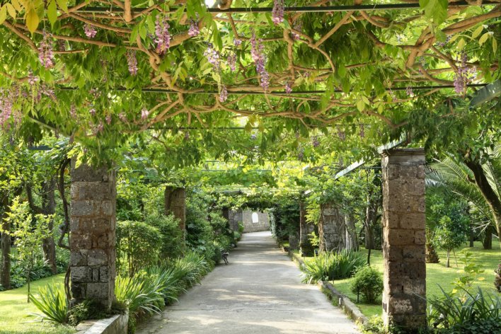 Grande allée avec des colonnes de chaque coté et des fleur de couleurs violette au-dessus.