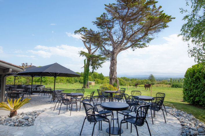Belle terrasse ombragée entourée d'arbres, de verdure et de chevaux.