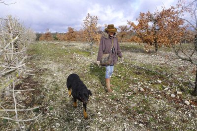 Femme se promenant dans un champs avec son chien
