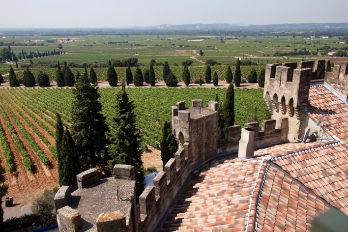 Tours crénelées avec vue sur les vignobles