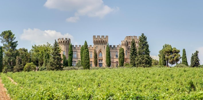 Château médiéval au cœur des vignes