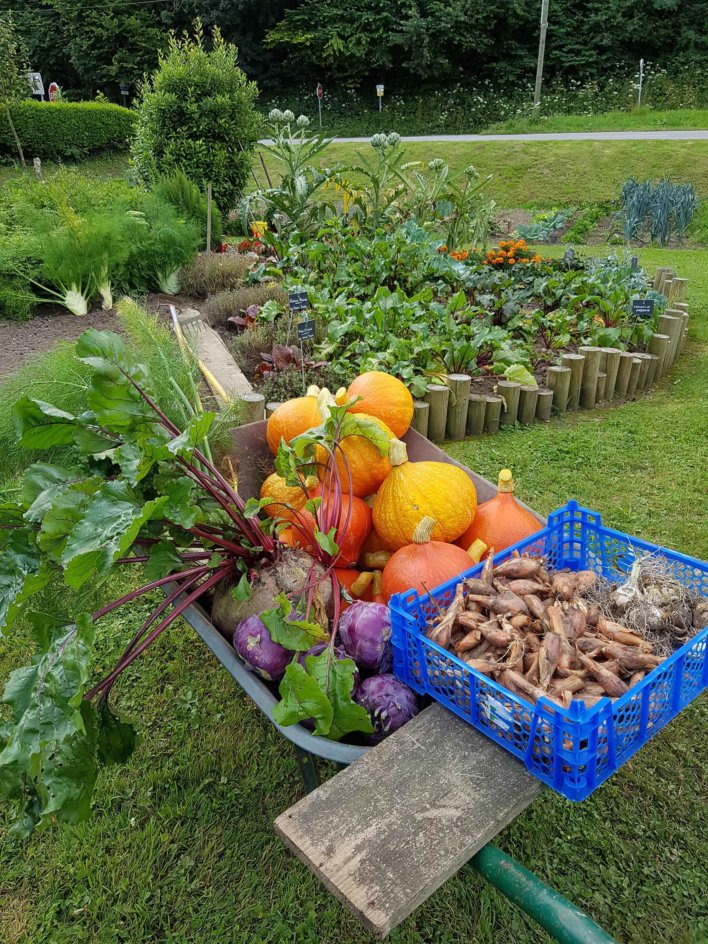Brouette avec diverses courges