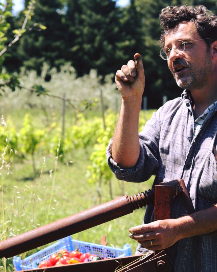 Un homme dans en pleine nature avec une cagette de tomates bios