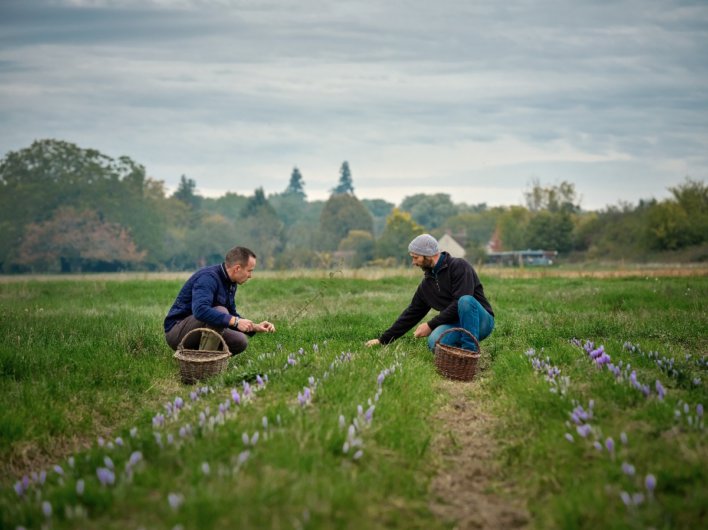 Cueillette de la fleur avec le chef Christophe Hay © Julie Limont