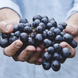 Grappes de raisin